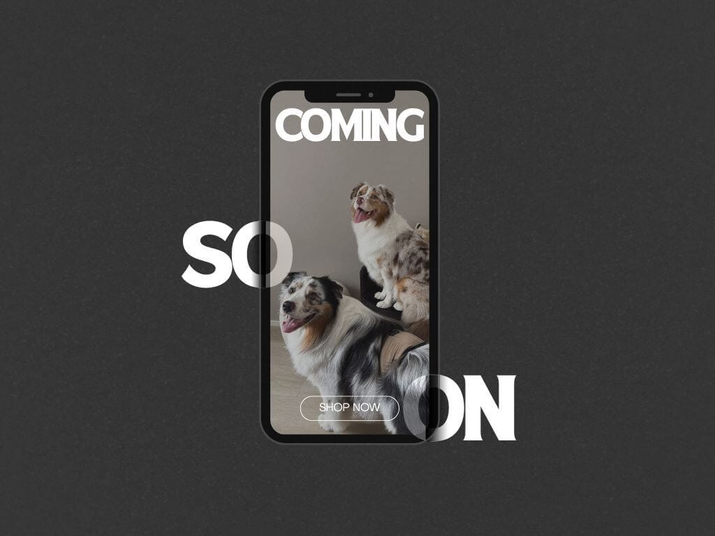 IdiaGraphics-laskeutumissivu-eli- landing-page